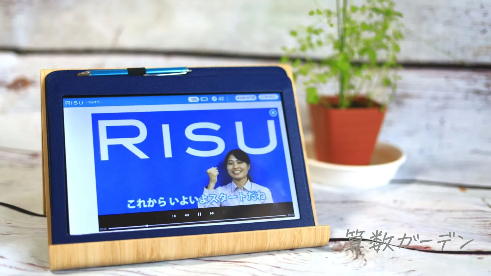 RISU算数先生動画