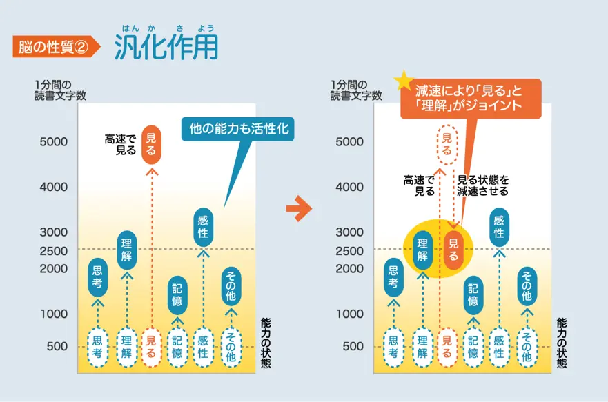 汎化作用
